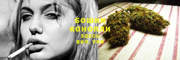 гашик Белокуриха