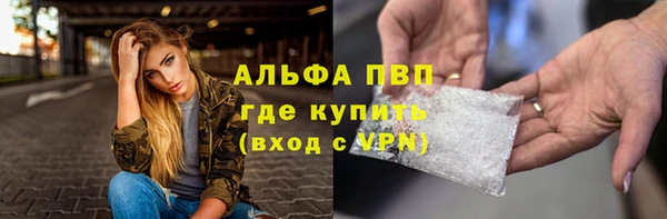 гашик Белокуриха