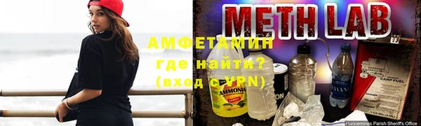 шишки Белоозёрский