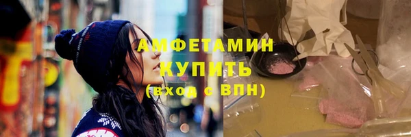 шишки Белоозёрский