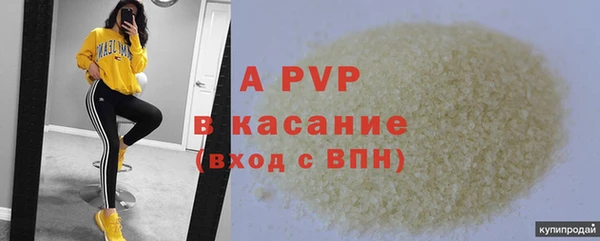 гашик Белокуриха