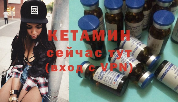 шишки Белоозёрский