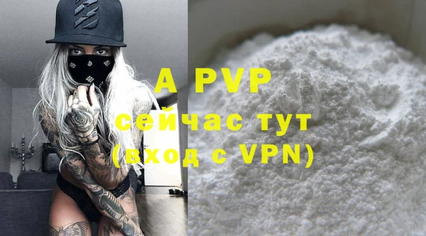 шишки Белоозёрский