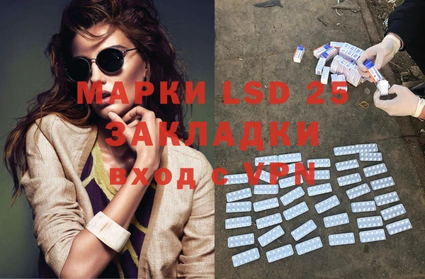 шишки Белоозёрский