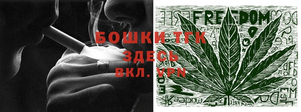 гашик Белокуриха