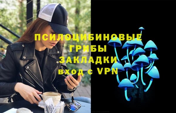 гашик Белокуриха