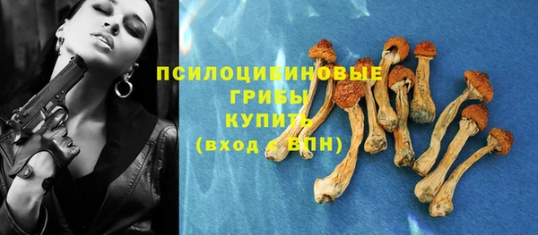 гашик Белокуриха