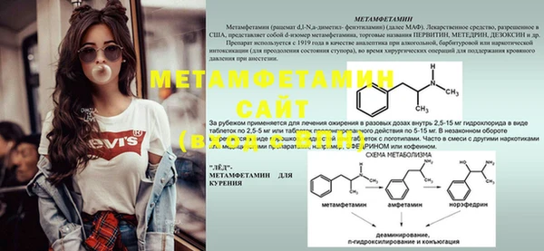 шишки Белоозёрский