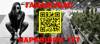 шишки Бийск