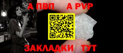 шишки Бийск