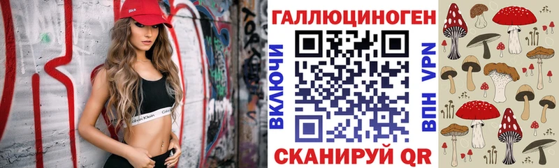 Галлюциногенные грибы ЛСД  закладка  Горно-Алтайск 