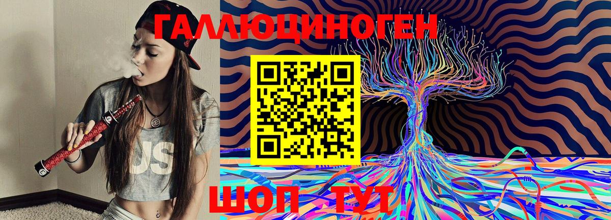 Псилоцибиновые грибы Psilocybine cubensis Горно-Алтайск