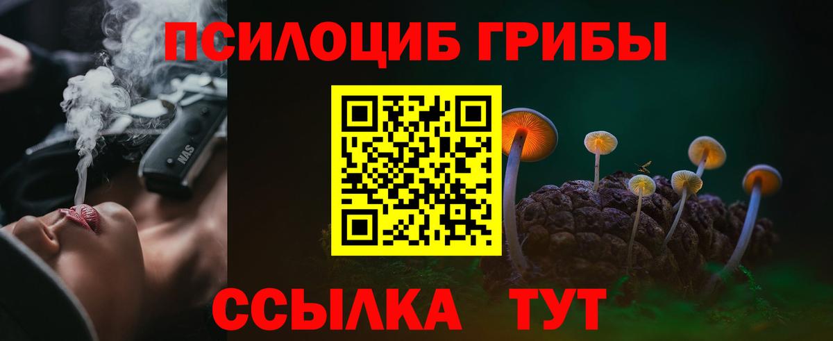 Горно-Алтайск  Галлюциногенные грибы Magic Shrooms  Вход с VPN 